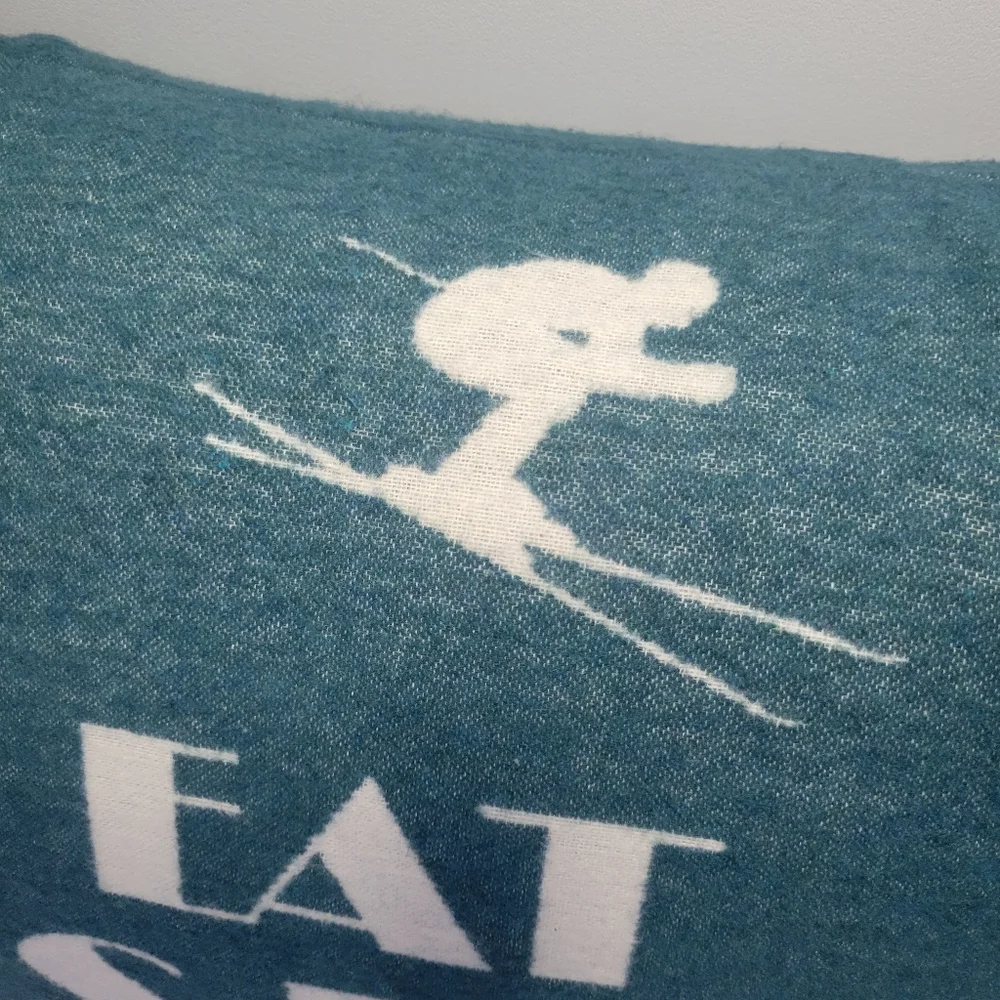 David Fussenegger Eat Ski Sleep Repeat Pillow The Alpine Chalet